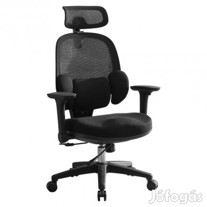 Ergonómikus irodai szék F11907