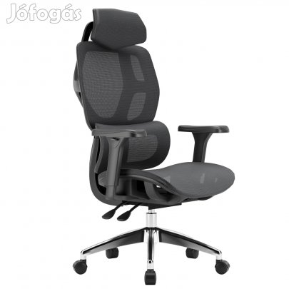 Ergonomikus irodai szék, forgószék, fekete hálós (E13 BLACK)