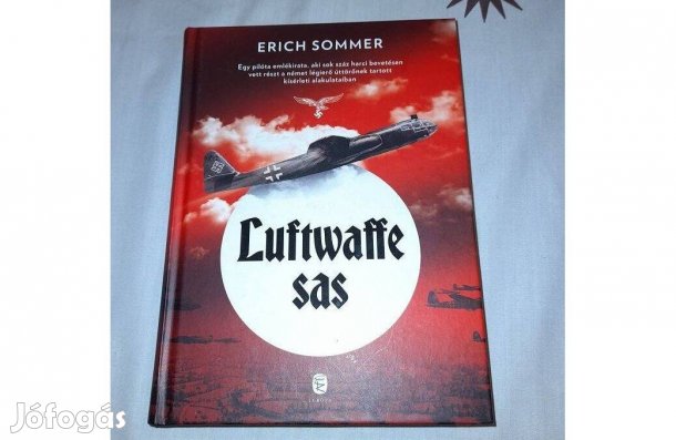 Erich Sommer: Luftwaffe sas
