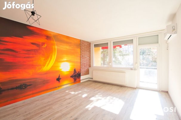 Erkélyes, másfél szobás, szép állapotú lakás kiadó
