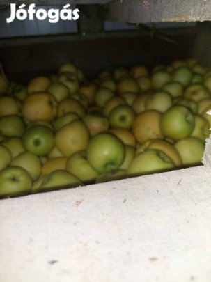Érkezési alma nagy tételben eladó, Golden 250 Ft/kg