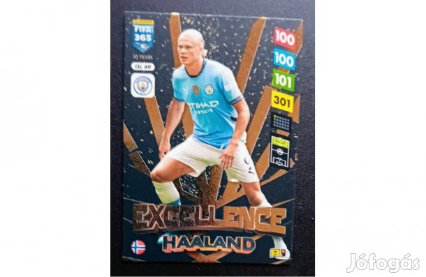Erling Haaland Manchester City Excellence focis kártya Panini FIFA '25