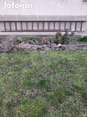 Erős, stabil padlás pince létra rendkívül jó áron. 