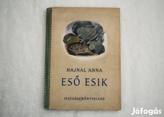 Eső esik - Hajnal Anna