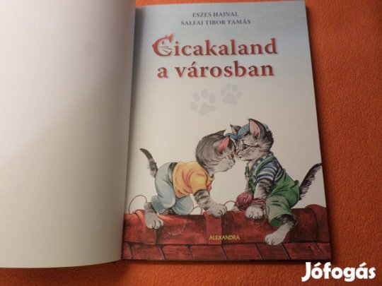 Eszes Hajnal Salfai Tibor Tamás Cicakaland a városban, Gyermekkönyv