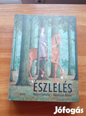 Észlelés Robert Seuker-Randolph Blake