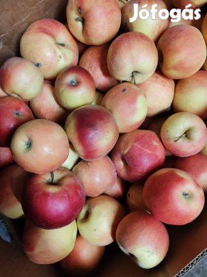 Étkezési alma idared