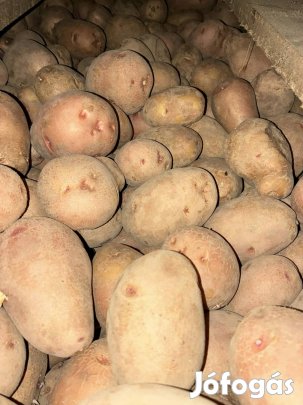 Étkezési burgonya