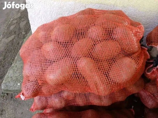 Étkezési burgonya és vöröshagyma