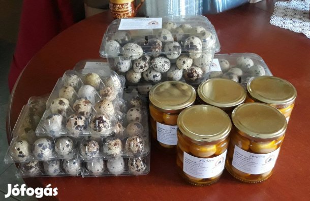 Étkezési fürjtojás kapható