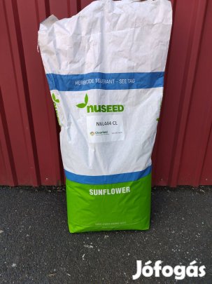 Étkezési napraforgó vetőmag