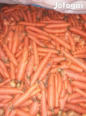 Étkezési sárgarépa eladó! 