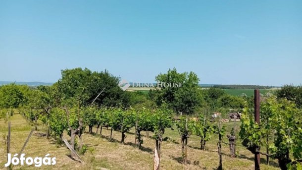 Etyeki eladó 8335 nm-es telek