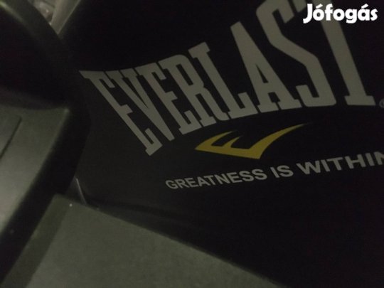 Everlast eliptikus gep