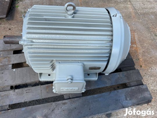 Evig 22 kW-os villanymotor eladó, fordulatszáma 725