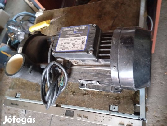 Executive nagyteljesitményű keringető szivattyú eladó