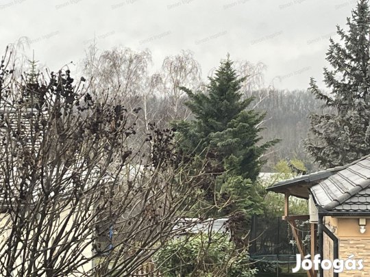 Exkluzív környezetben lévő  7 szobás luxus ház