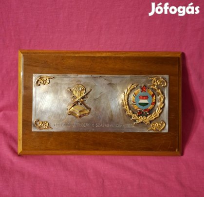 Ezüst 800as 130gr.  Honvédségi emlek plakett!