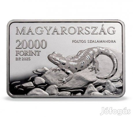 Ezüst Érme 20000Ft Aggteleki Nemzeti Park 20000 Ft Érem PP 2025 UNC(_)