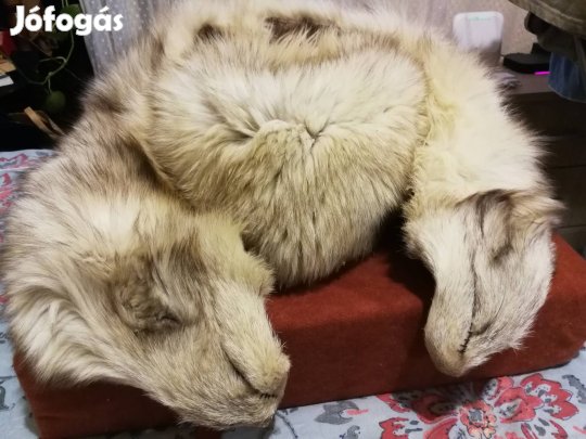 Ezüstróka, könnyű és puha kucsma és gallér garnitúra.