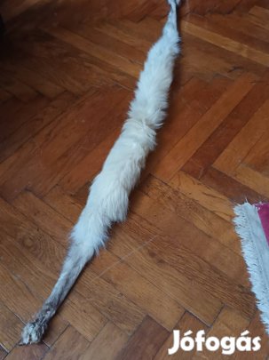 Ezüstróka gallérszőr
