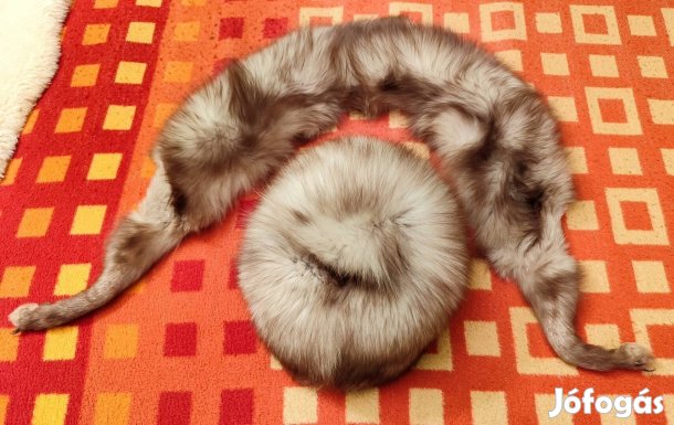 Ezüstróka kucsma és gallér