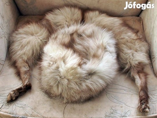 Ezüstróka sapka és gallér