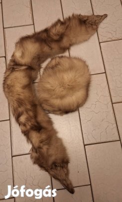 Ezüstróka sapka-gallér