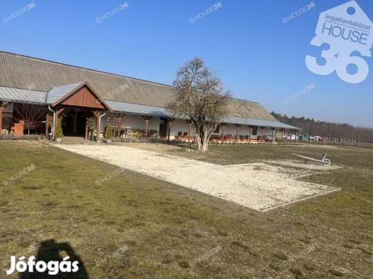 FEDEZZE FEL A TÖKÉLETES MENEDÉKET A TERMÉSZETBEN!