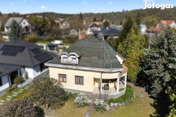 FELCSÚT  AZ ORSZÁG ARTÉRIÁJÁN: EGYEDISÉG ÉS POTENCIÁL EGY KARAKTERES
