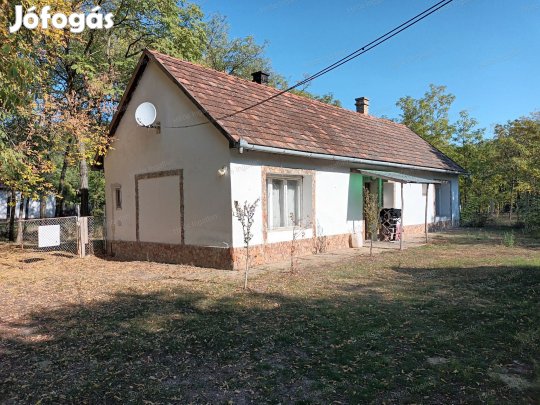 FELSŐCSALÁNOSI TANYA ELADÓ!