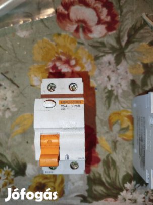 FI-relé Merlin Gerin