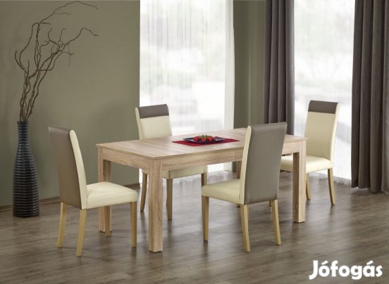 Fa asztallapos étkezőasztal T13178