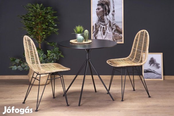 Fa asztallapos étkezőasztal T21938