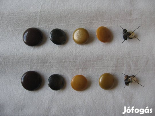 Fa és műanyag klipszek - bizsu