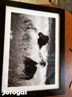 Fa keret képpel 77x58