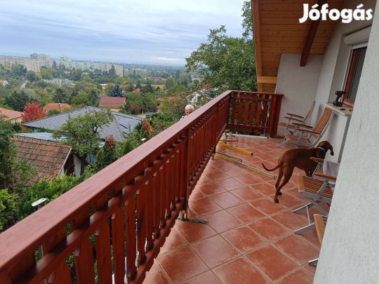 Fa terasz kerítés korlát elem