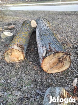 Fa többféle célra hasznosítható 