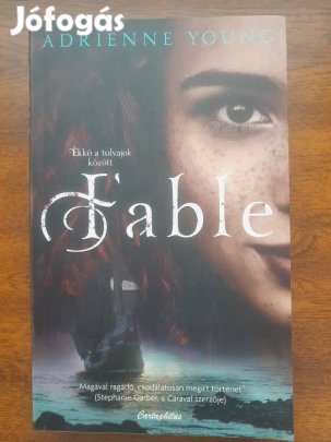 Fable-Adrienne Young éldekorált könyv
