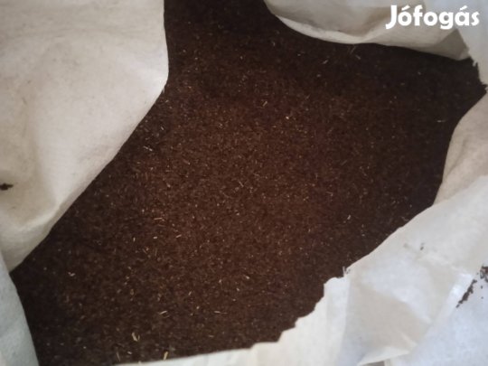 Facelia(Mézontófü)