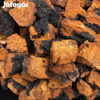 Fagyasztva Szárított Egész Chaga, HamvaskéregGomba 100g (6286)