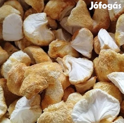 Fagyasztva Szárított  SünGomba (Hericium Erinaceus) 100g (6291)