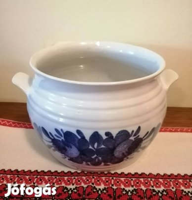 Fajansz edenyke 