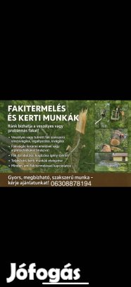 Fakitermelés. Kerti munka.