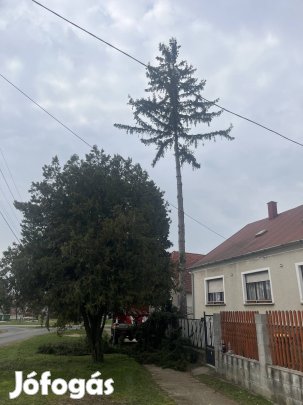 Fakivágás,kosaras autó