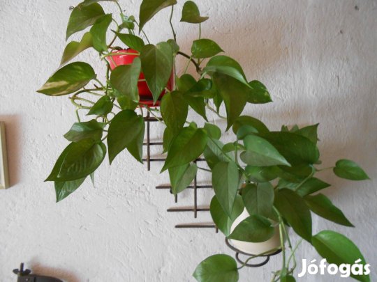 Fali fém virágtartó eladó