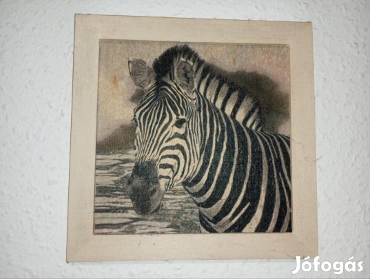 Fali kép, szalvéta dekopázs 40x40 cm-es, zebra tematika