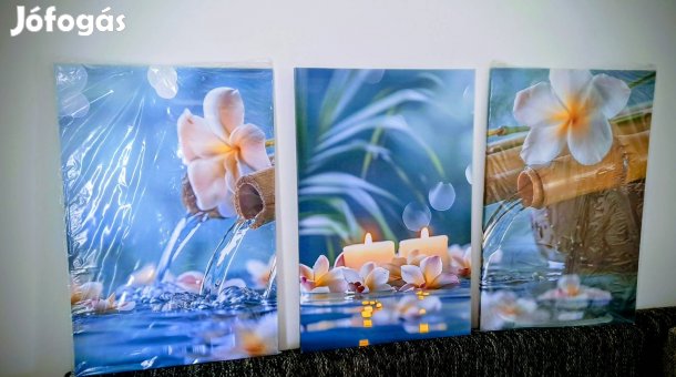 Falikép 3x 60x40 -es új gyönyörű