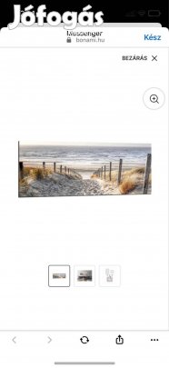 Falikép, Tengerparti dűne 125x50 cm /cserélhető is/