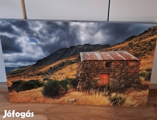 Falikép eladó!